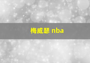 梅威瑟 nba